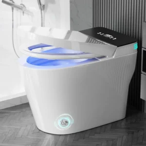 Smart Toilet with Bidet