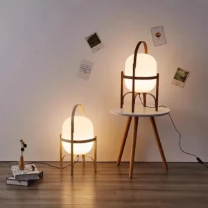 Cole Cestita  Modern Floor Lamp